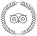 tripadvisor badge